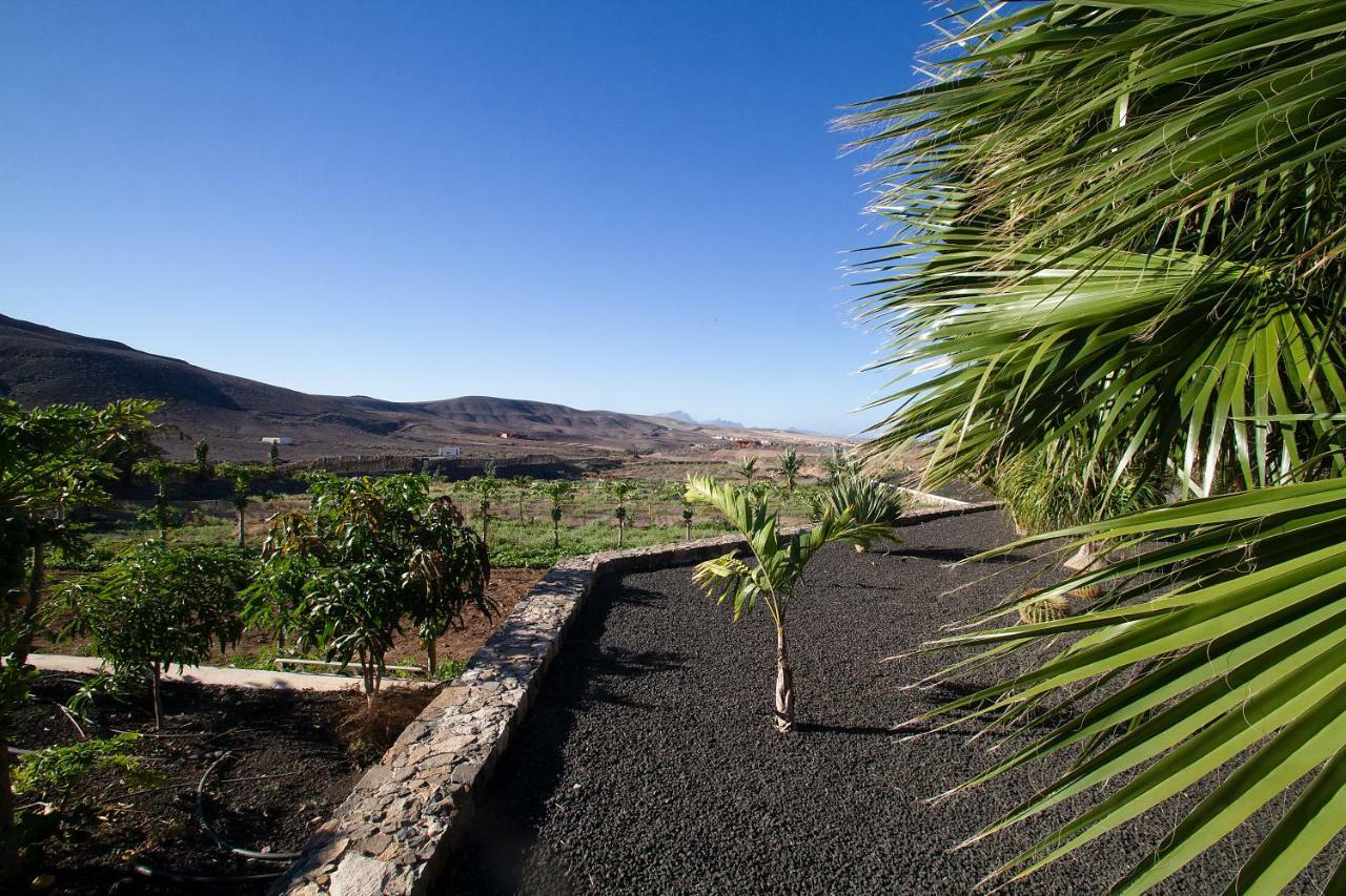 Finca Arbequina Pájara Eksteriør billede